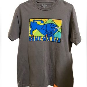 Blue Fox Bar Mt Hood Ski Timberline Lodge Oregon Gray Men’s M T-Shirt MINTY